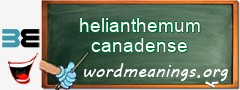 WordMeaning blackboard for helianthemum canadense